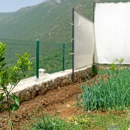 Kapari Villa
